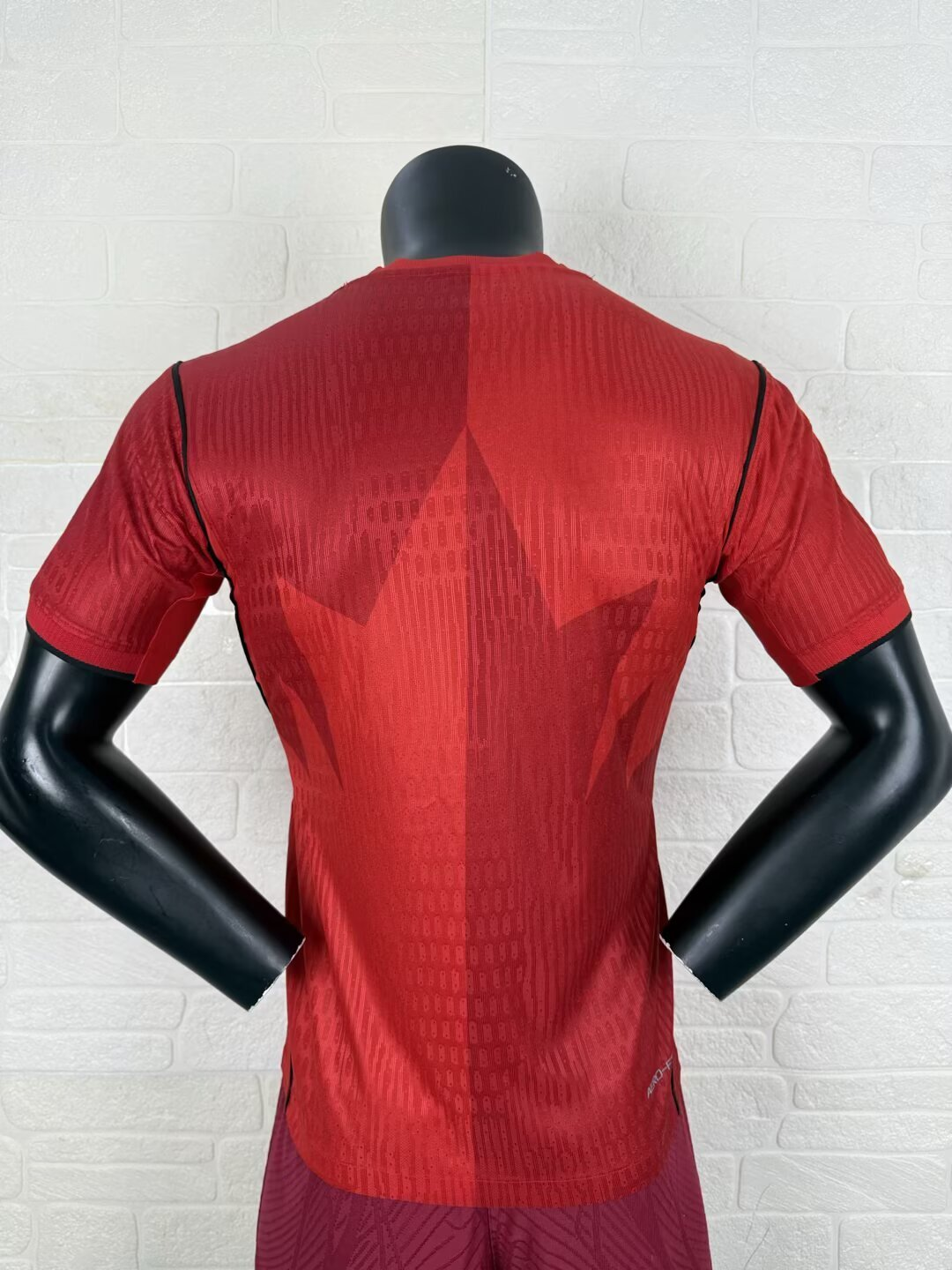 Canada copa del mundo 2026